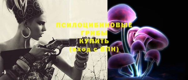 PSILOCYBIN Арсеньев