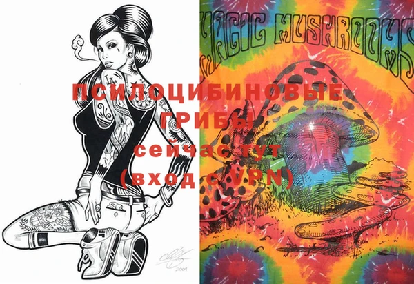 PSILOCYBIN Арсеньев