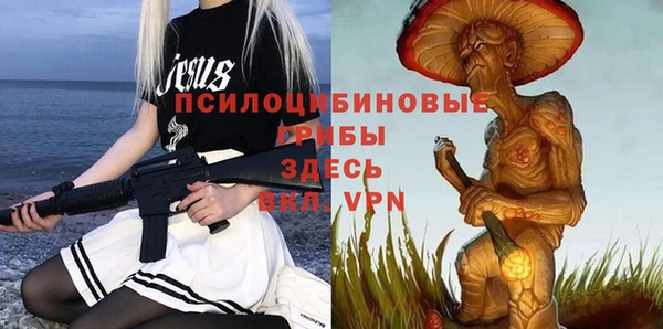 PSILOCYBIN Арсеньев