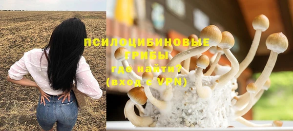 PSILOCYBIN Арсеньев