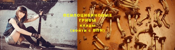 гидропоника Аркадак