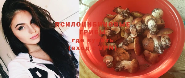 гидропоника Аркадак